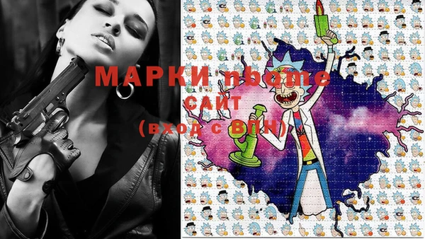 шишки Белая Холуница