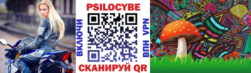 продажа наркотиков  Подпорожье  Псилоцибиновые грибы мицелий 